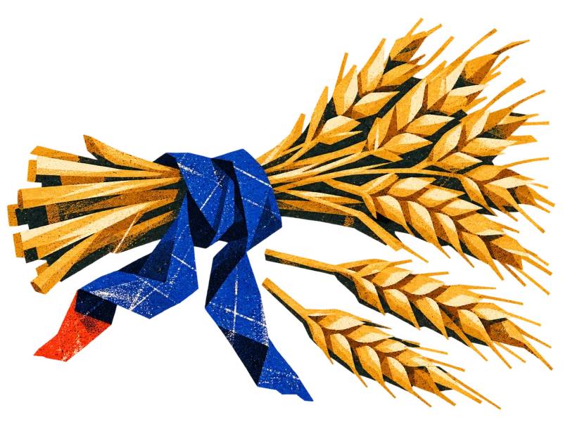 A golden wheat bundle tied with blue cloth, with two loose ears of grain beside it.
